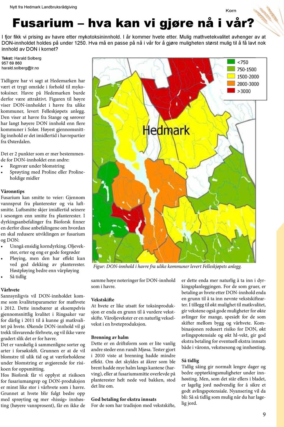 Tekst: Harald Solberg 957 69 860 harald.solberg@lr.no Korn Tidligere har vi sagt at Hedemarken har vært et trygt område i forhold til mykotoksiner. Havre på Hedemarken burde derfor være attraktivt.