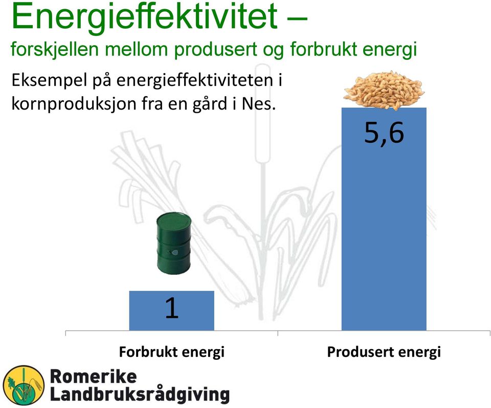 energieffektiviteten i kornproduksjon fra