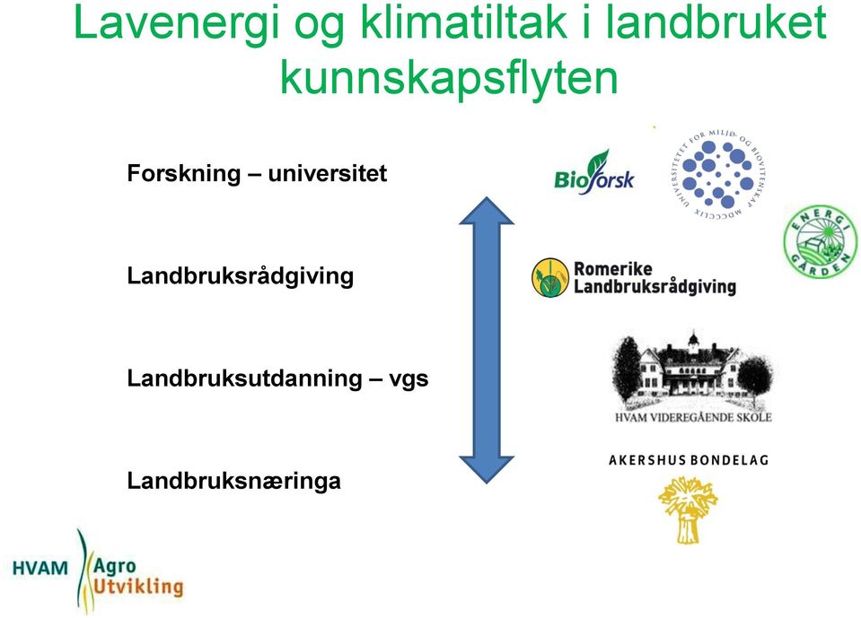 Forskning universitet