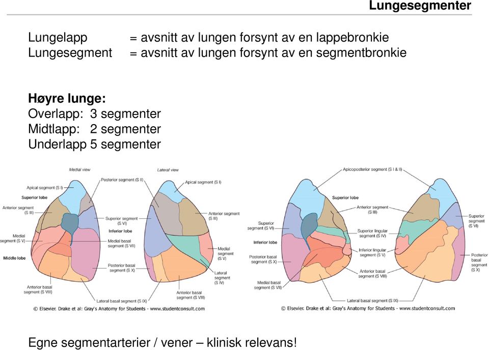 Overlapp: 3 segmenter Midtlapp: 2 segmenter Underlapp 5 segmenter Venstre lunge