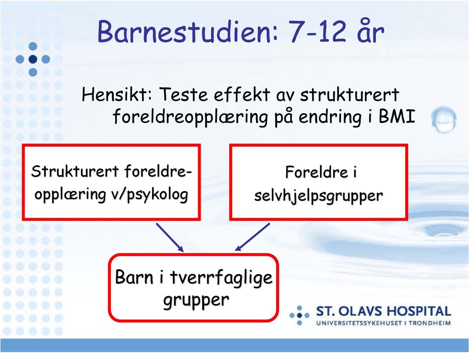 Strukturert foreldre- opplæring v/psykolog