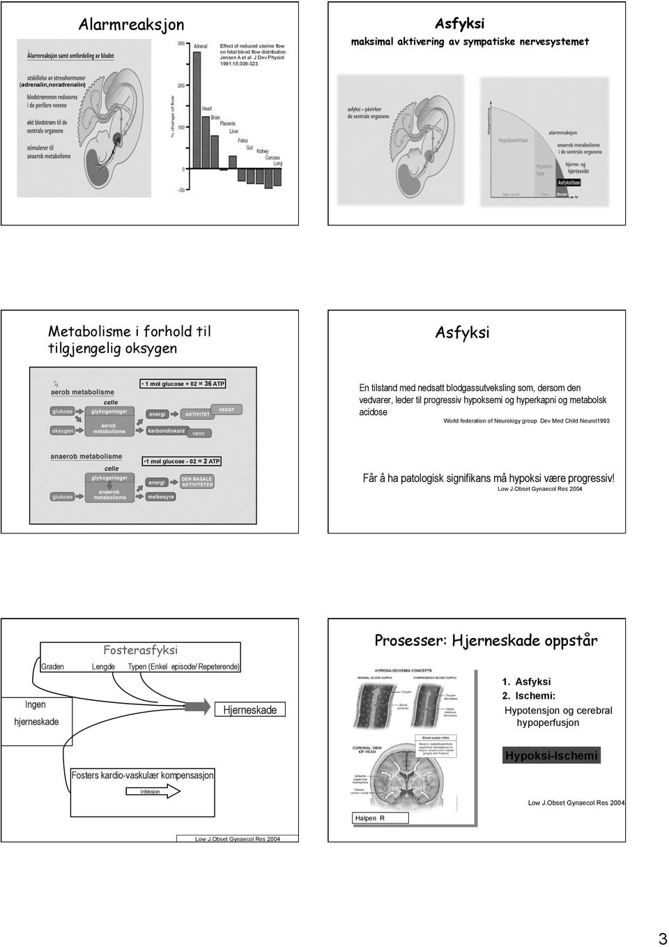 hypoksemi og hyperkapni og metabolsk acidose World federation of Neurology group Dev Med Child Neurol1993 1 mol glucose - 02 = 2 ATP Får å ha patologisk signifikans må hypoksi være progressiv! Low J.