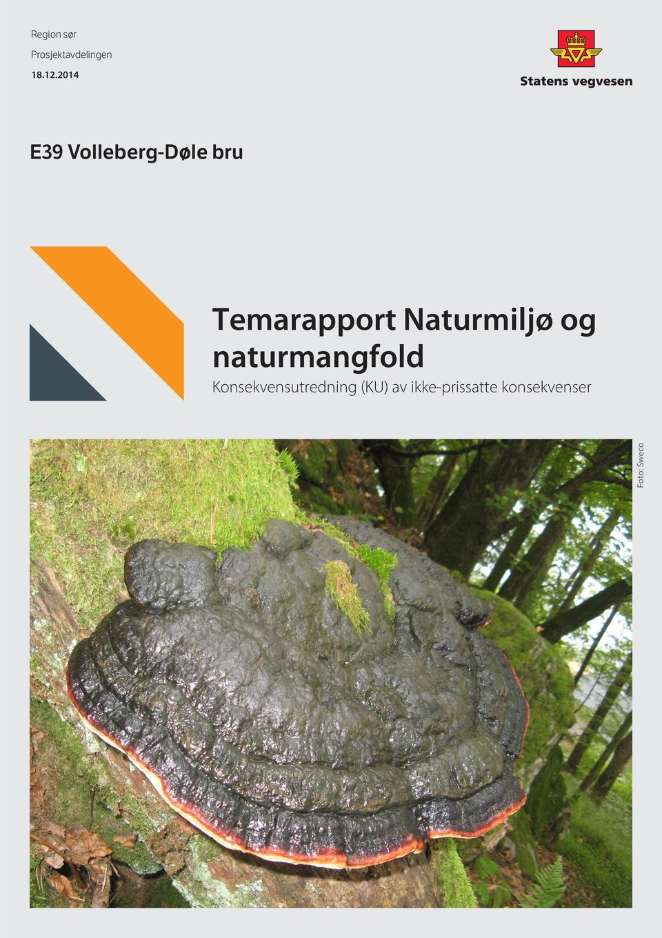 Naturmiljø og naturmangfold Foto: Sweco