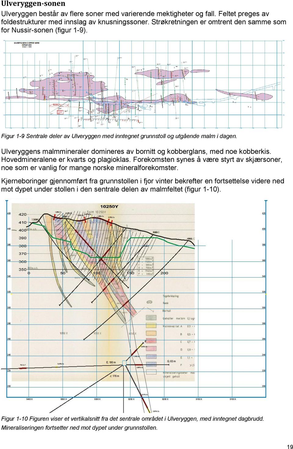 Ulveryggens malmmineraler domineres av bornitt og kobberglans, med noe kobberkis. Hovedmineralene er kvarts og plagioklas.