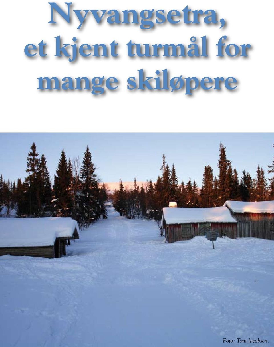 mange skiløpere