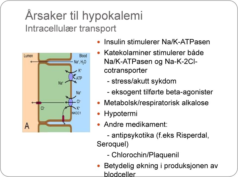 tilførte beta-agonister Metabolsk/respiratorisk alkalose Hypotermi Andre medikament: -