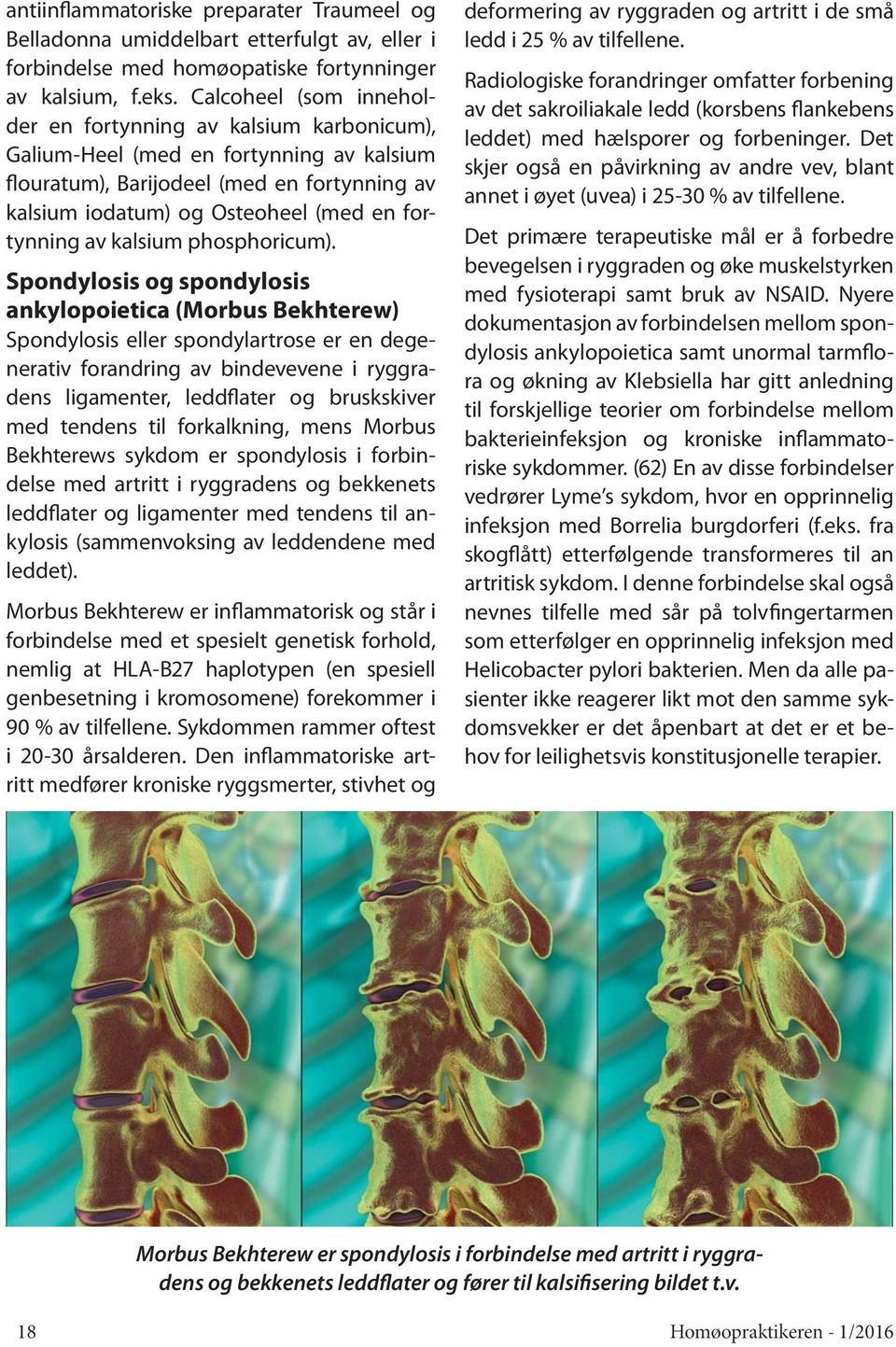 av kalsium phosphoricum).