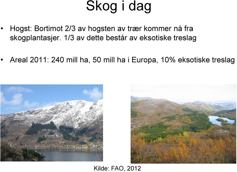 1/3 av dette består av eksotiske treslag Areal