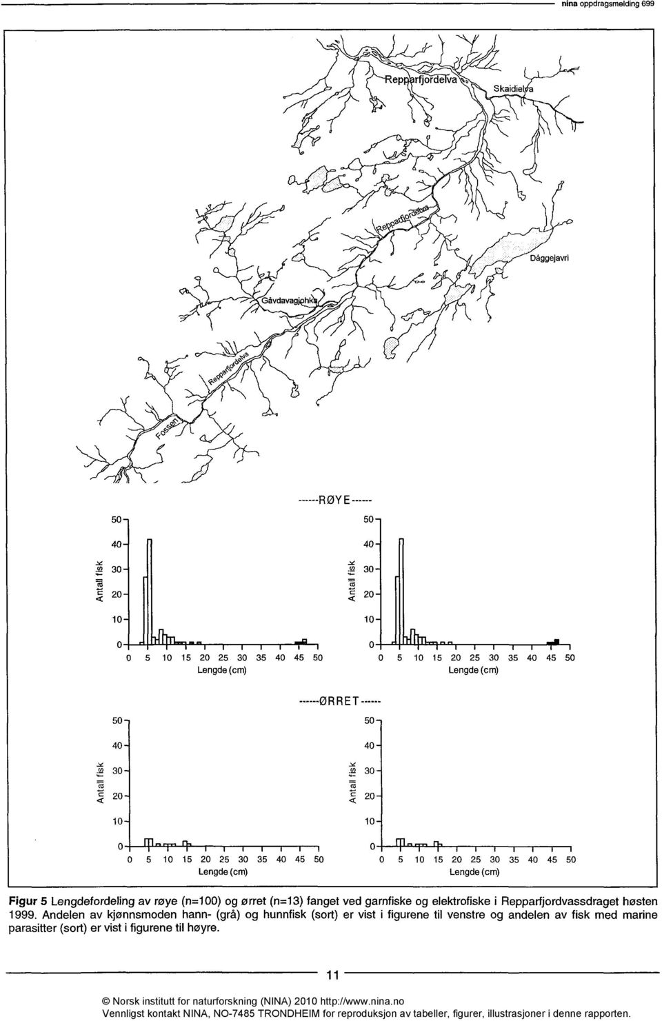 15 20 25 30 35 40 45 50 0 5 10 15 20 25 30 35 40 45 50 Lengde (cm) Lengde (cm) Figur 5 Lengdefordeling av røye (n=100) og ørret (n=13) fanget ved garnfiske og