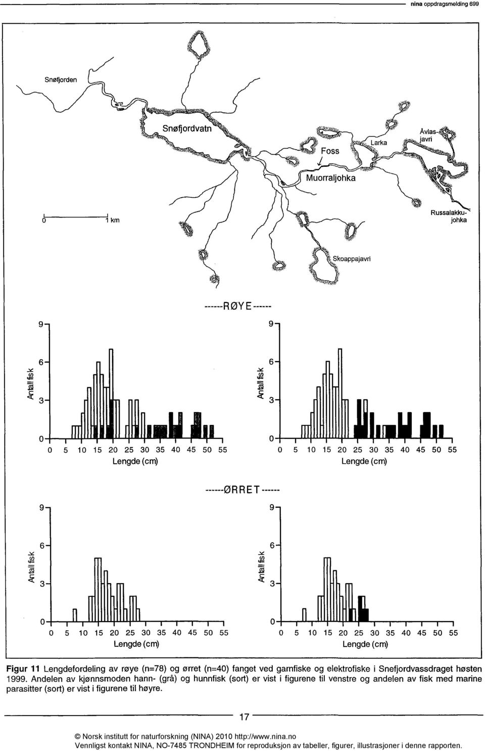171 3 3 0 5 10 15 20 25 30 35 40 45 50 55 0 5 10 15 20 25 30 35 40 45 50 55 Lengde (cm) Lengde (cm) Figur 11 Lengdefordeling av røye (n=78) og ørret