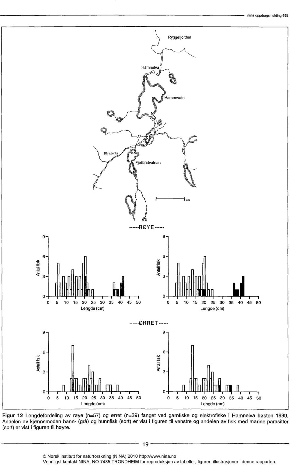 40 45 50 0 5 10 15 20 25 30 35 40 45 50 Lengde (cm) Lengde (cm) Figur 12 Lengdefordeling av røye (n=57) og ørret (n=39) fanget ved garnfiske