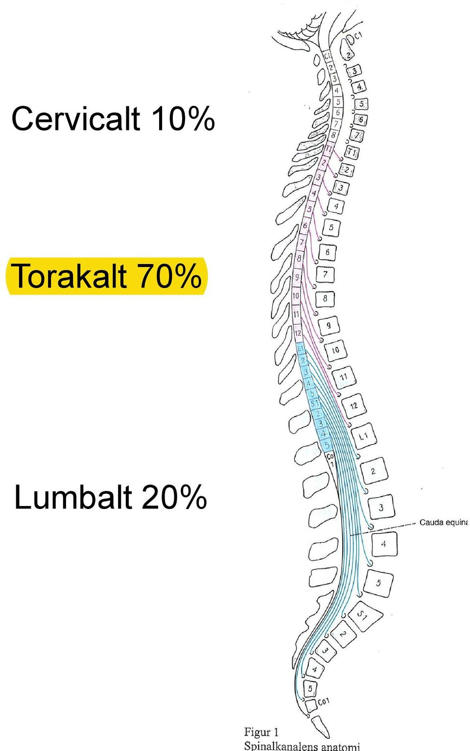 Torakalt