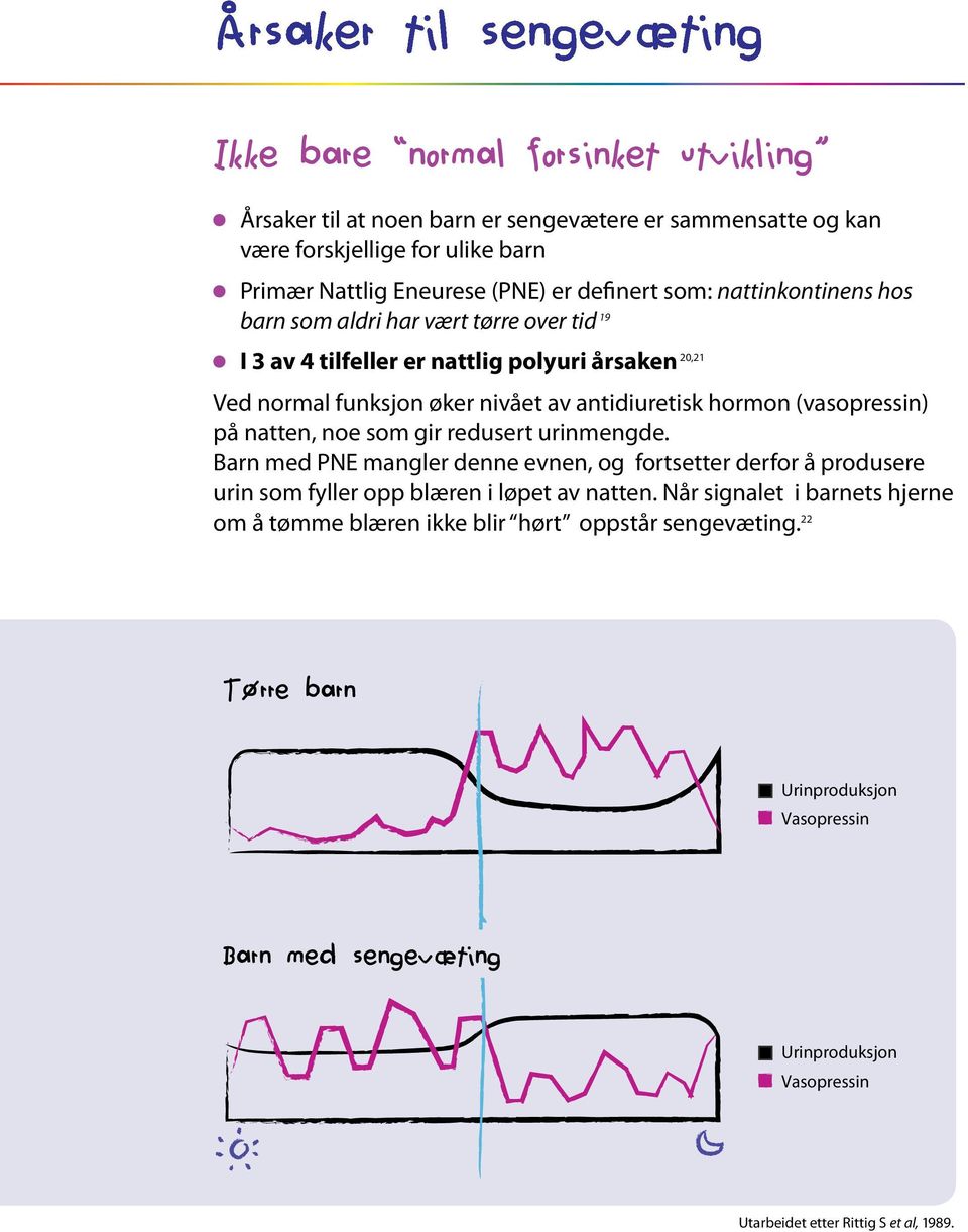 (vasopressin) på natten, noe som gir redusert urinmengde. Barn med PNE mangler denne evnen, og fortsetter derfor å produsere urin som fyller opp blæren i løpet av natten.