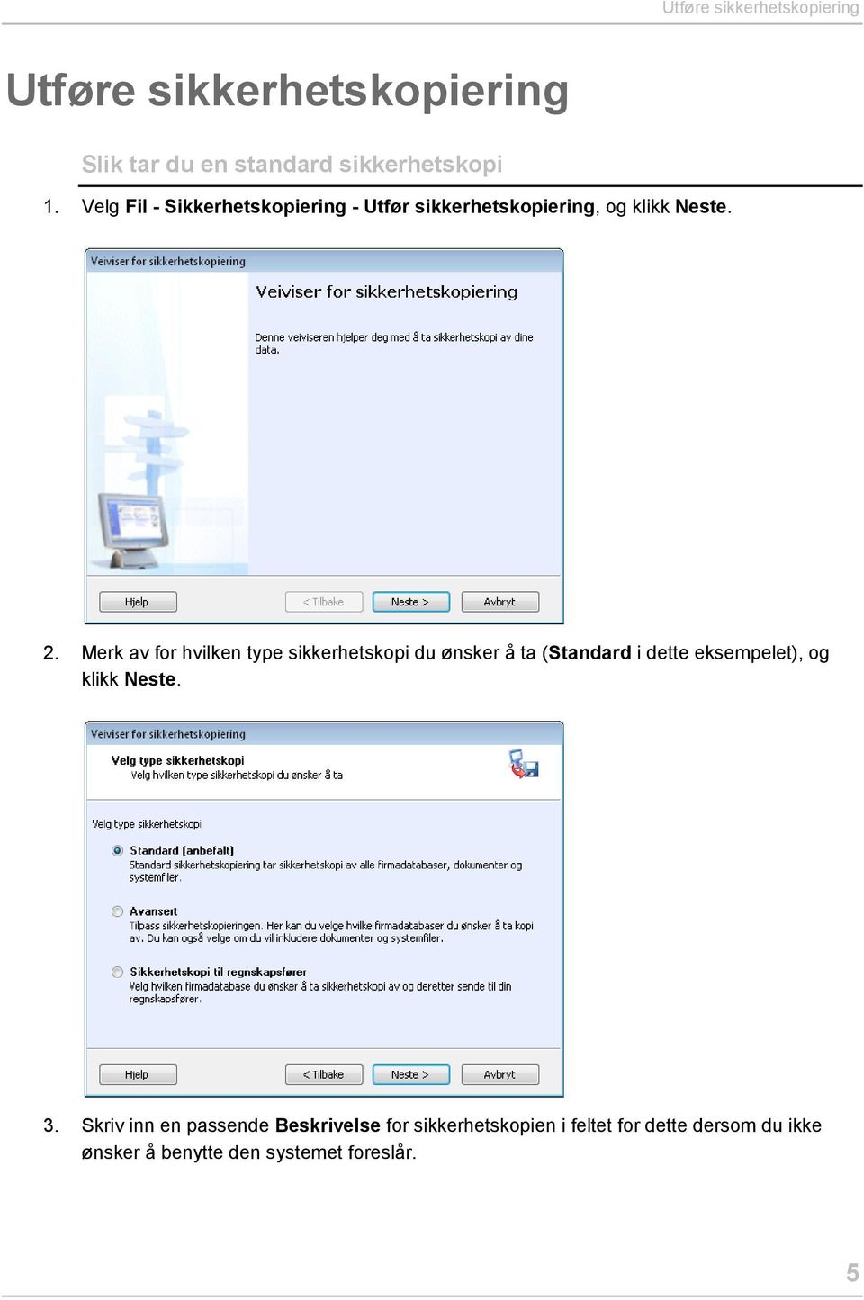 Merk av for hvilken type sikkerhetskopi du ønsker å ta (Standard i dette eksempelet), og klikk Neste.