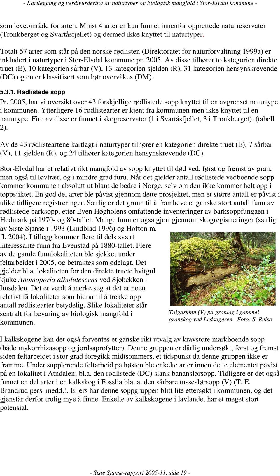 Av disse tilhører to kategorien direkte truet (E), 10 kategorien sårbar (V), 13 kategorien sjelden (R), 31 kategorien hensynskrevende (DC) og en er klassifisert som bør overvåkes (DM). 5.3.1. Rødlistede sopp Pr.