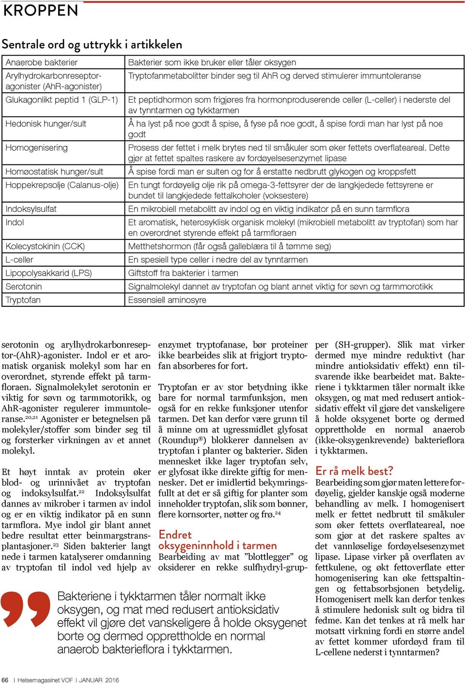 seg til AhR og derved stimulerer immuntoleranse Et peptidhormon som frigjøres fra hormonproduserende celler (L-celler) i nederste del av tynntarmen og tykktarmen Å ha lyst på noe godt å spise, å fyse