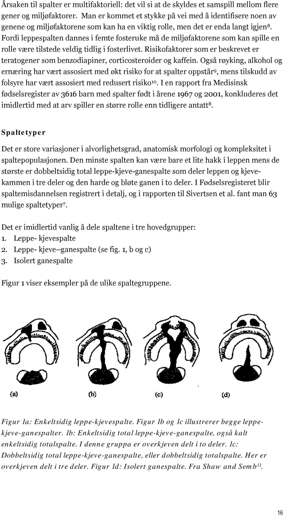 Fordi leppespalten dannes i femte fosteruke må de miljøfaktorene som kan spille en rolle være tilstede veldig tidlig i fosterlivet.