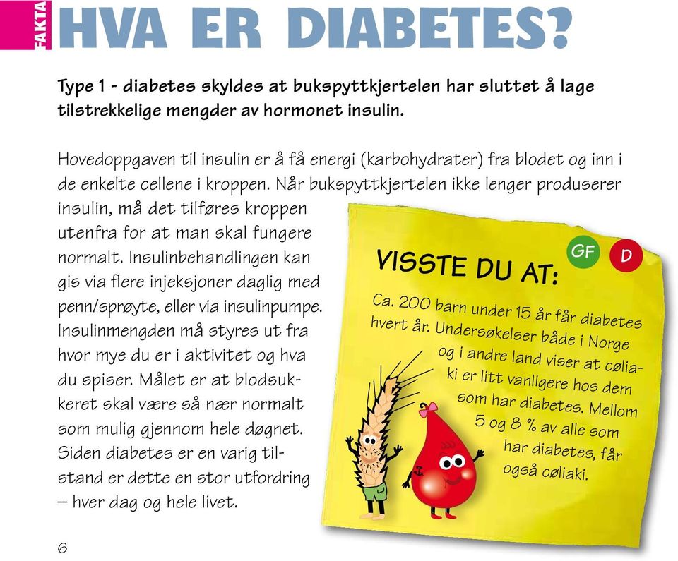 Når bukspyttkjertelen ikke lenger produserer insulin, må det tilføres kroppen utenfra for at man skal fungere normalt.