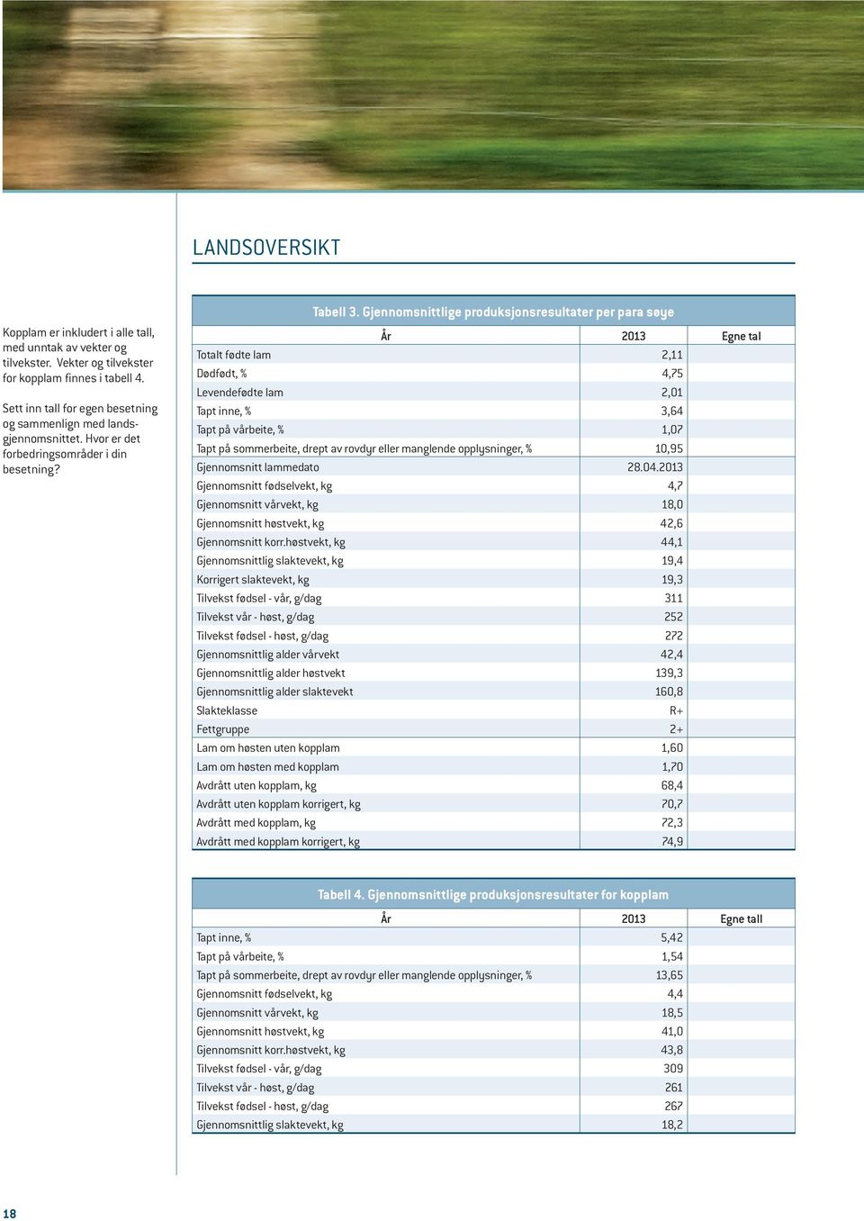 Gjennomsnittlige produksjonsresultater per para søye År 2013 Egne tal Totalt fødte lam 2,11 Dødfødt, % 4,75 Levendefødte lam 2,01 Tapt inne, % 3,64 Tapt på vårbeite, % 1,07 Tapt på sommerbeite, drept