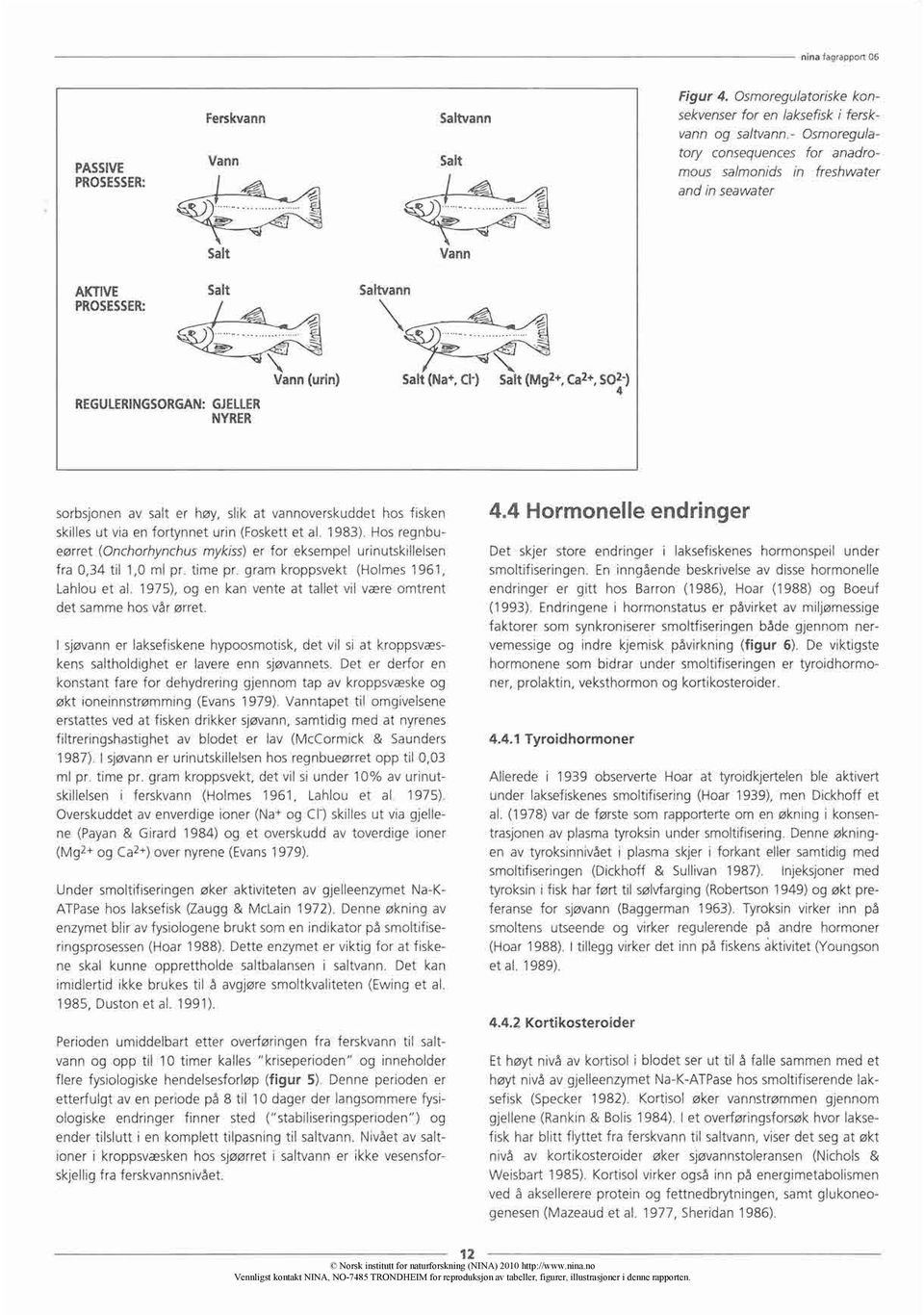 .. -- Salt Vann AKTIVE PROSESSER: Salt Saltvann REGULERINGSORGAN:GJELLER NYRER Vann (urin) Salt (Na+, CI-) Salt (Mg2+, Ca2+,502-) 4 sorbsjonen av salt er høy, slik at vannoverskuddet hos fisken