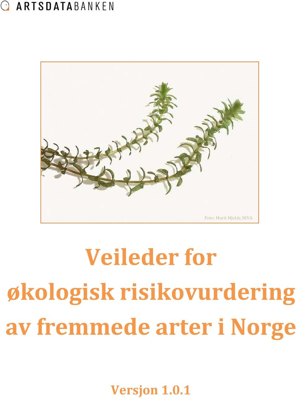 risikovurdering av