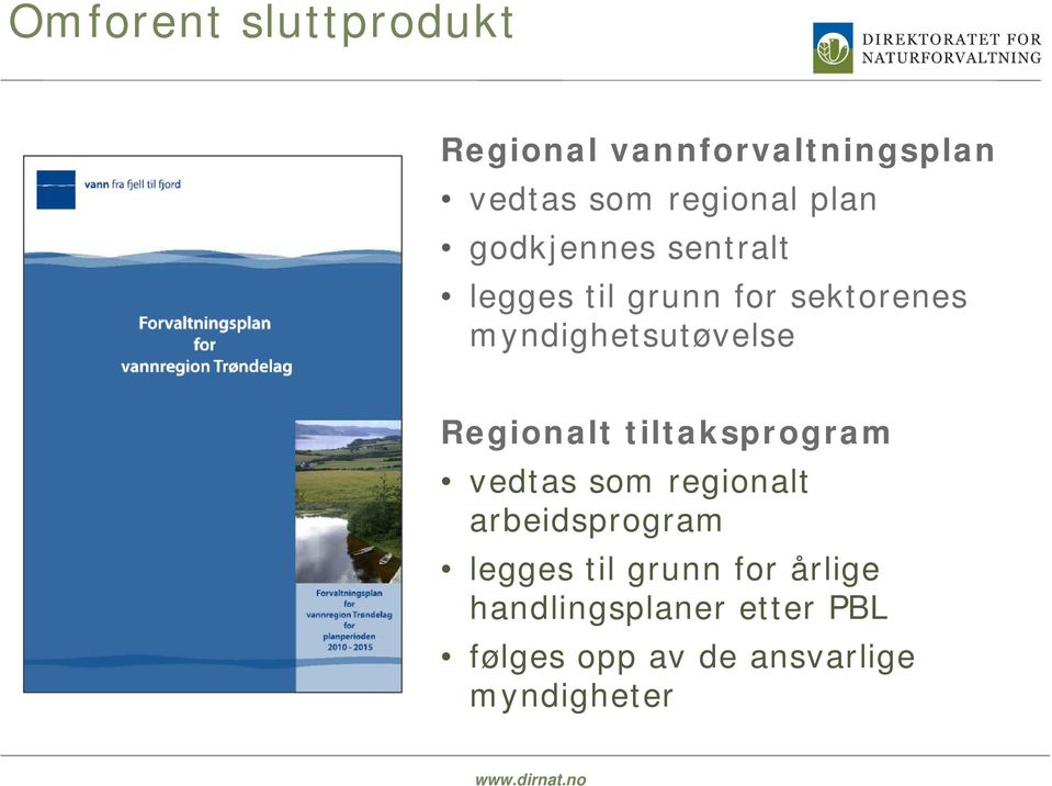 Regionalt tiltaksprogram vedtas som regionalt arbeidsprogram legges til grunn