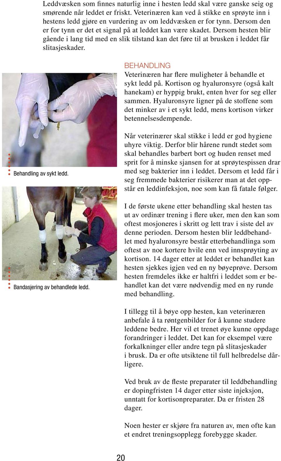 Dersom hesten blir gående i lang tid med en slik tilstand kan det føre til at brusken i leddet får slitasjeskader. BEHANDLING Veterinæren har flere muligheter å behandle et sykt ledd på.