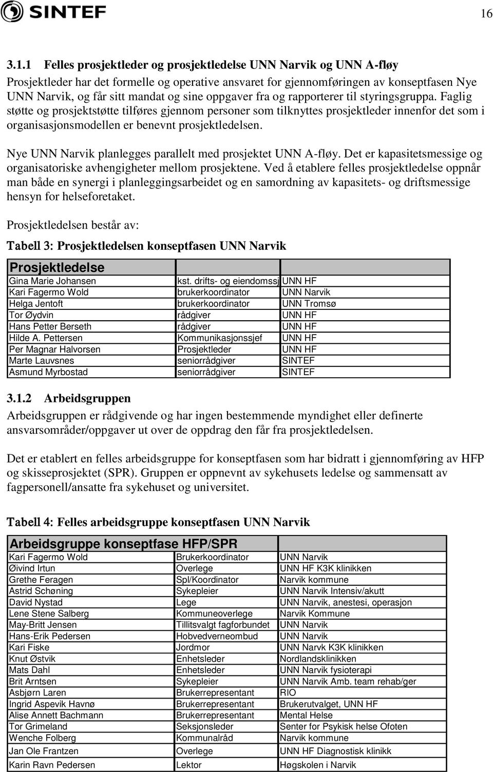 Faglig støtte og prosjektstøtte tilføres gjennom personer som tilknyttes prosjektleder innenfor det som i organisasjonsmodellen er benevnt prosjektledelsen.