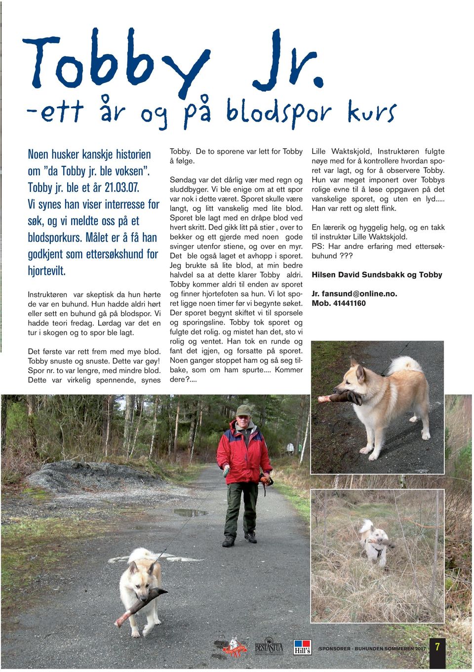 Hun hadde aldri hørt eller sett en buhund gå på blodspor. Vi hadde teori fredag. Lørdag var det en tur i skogen og to spor ble lagt. Det første var rett frem med mye blod. Tobby snuste og snuste.