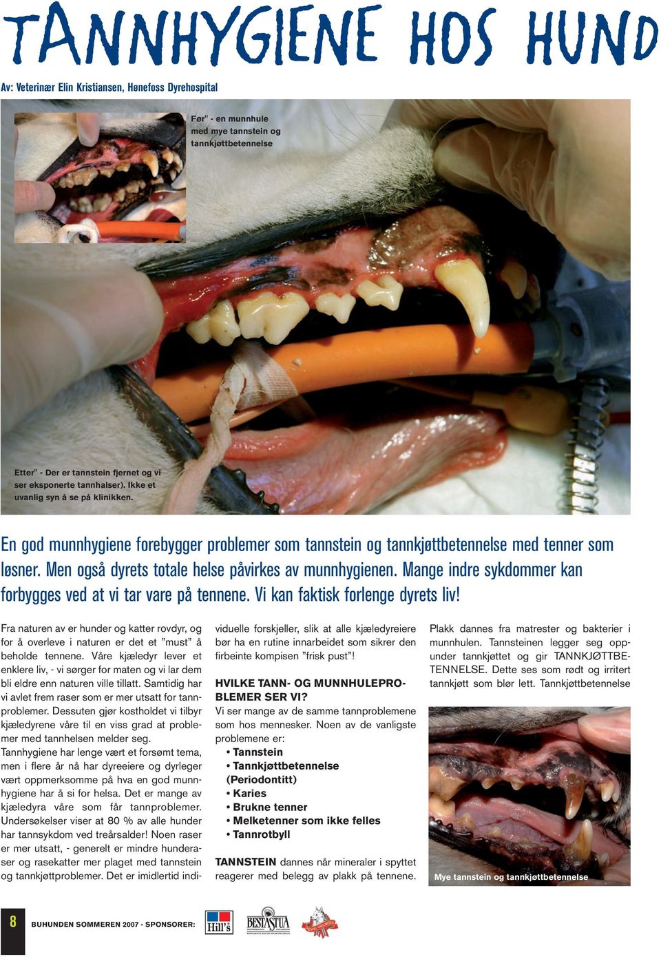 Men også dyrets totale helse påvirkes av munnhygienen. Mange indre sykdommer kan forbygges ved at vi tar vare på tennene. Vi kan faktisk forlenge dyrets liv!