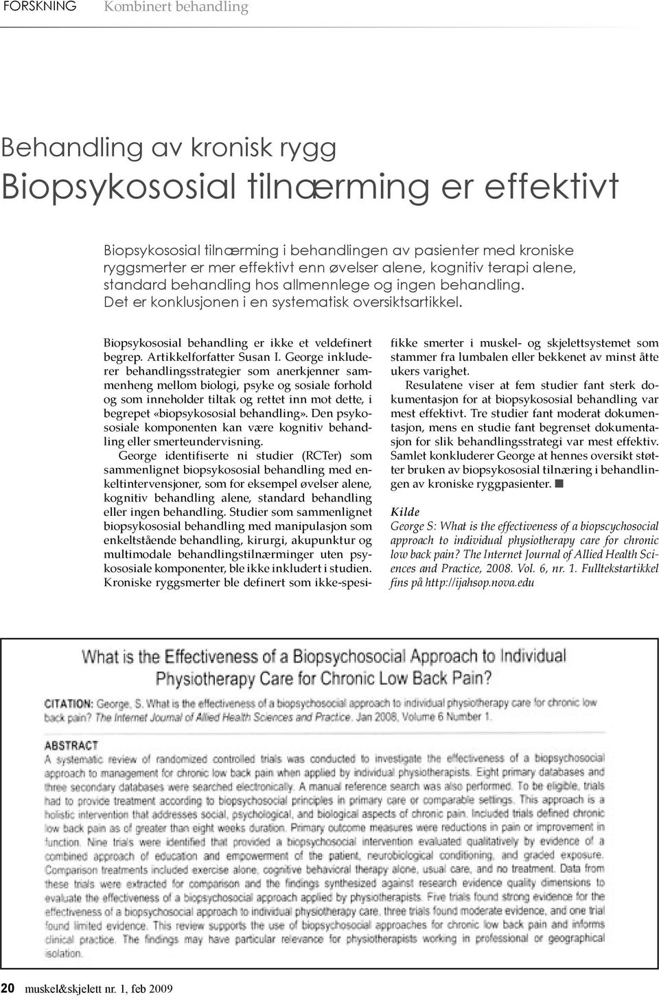 Biopsykososial behandling er ikke et veldefinert begrep. Artikkelforfatter Susan I.