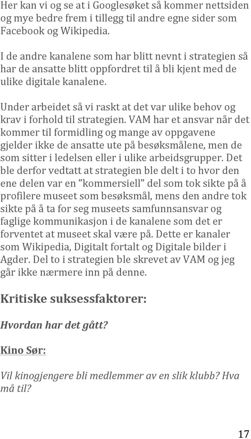 Under arbeidet så vi raskt at det var ulike behov og krav i forhold til strategien.