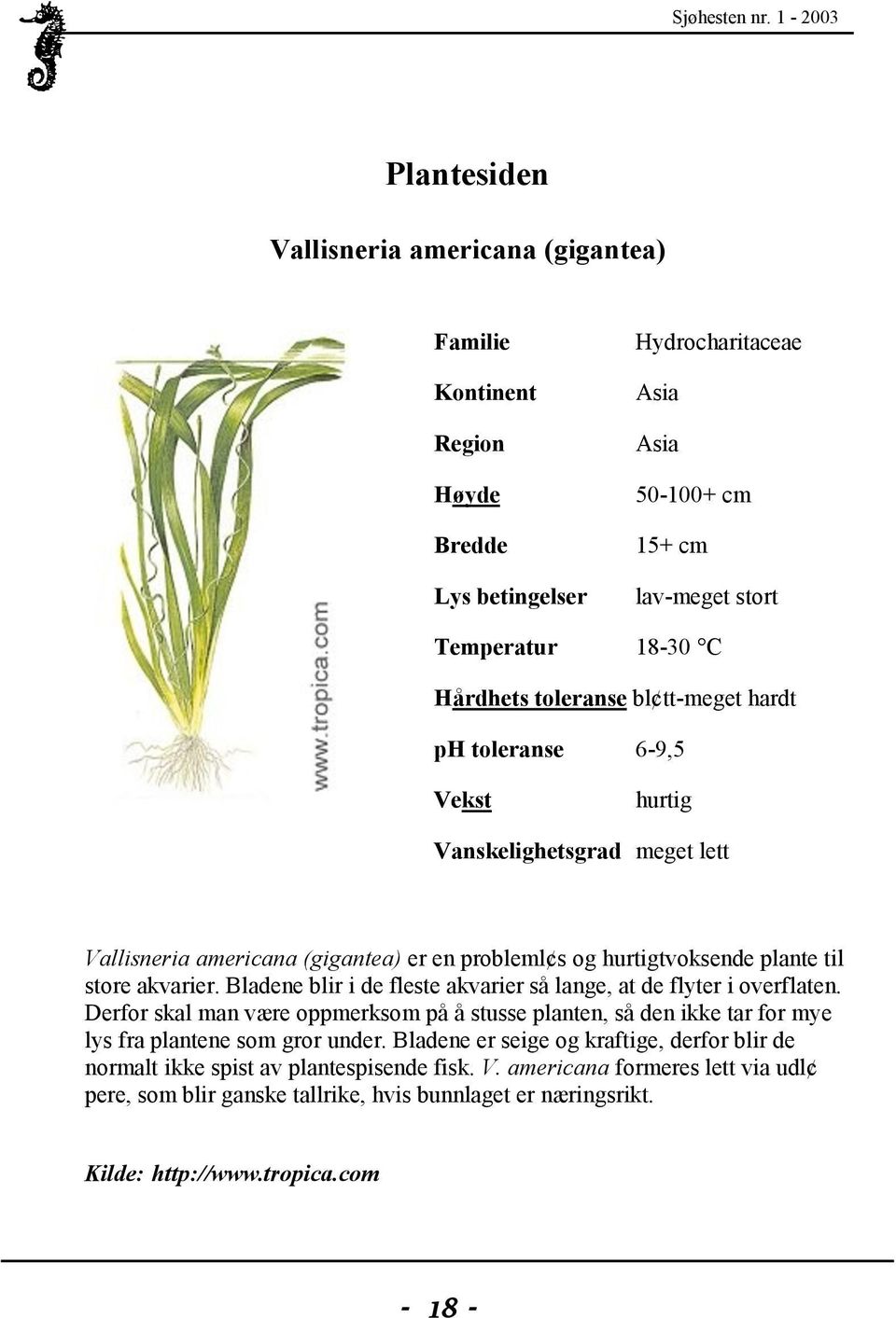 Bladene blir i de fleste akvarier så lange, at de flyter i overflaten. Derfor skal man være oppmerksom på å stusse planten, så den ikke tar for mye lys fra plantene som gror under.