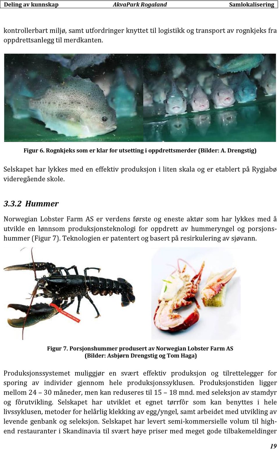 3.2 Hummer Norwegian Lobster Farm AS er verdens første og eneste aktør som har lykkes med å utvikle en lønnsom produksjonsteknologi for oppdrett av hummeryngel og porsjonshummer (Figur 7).