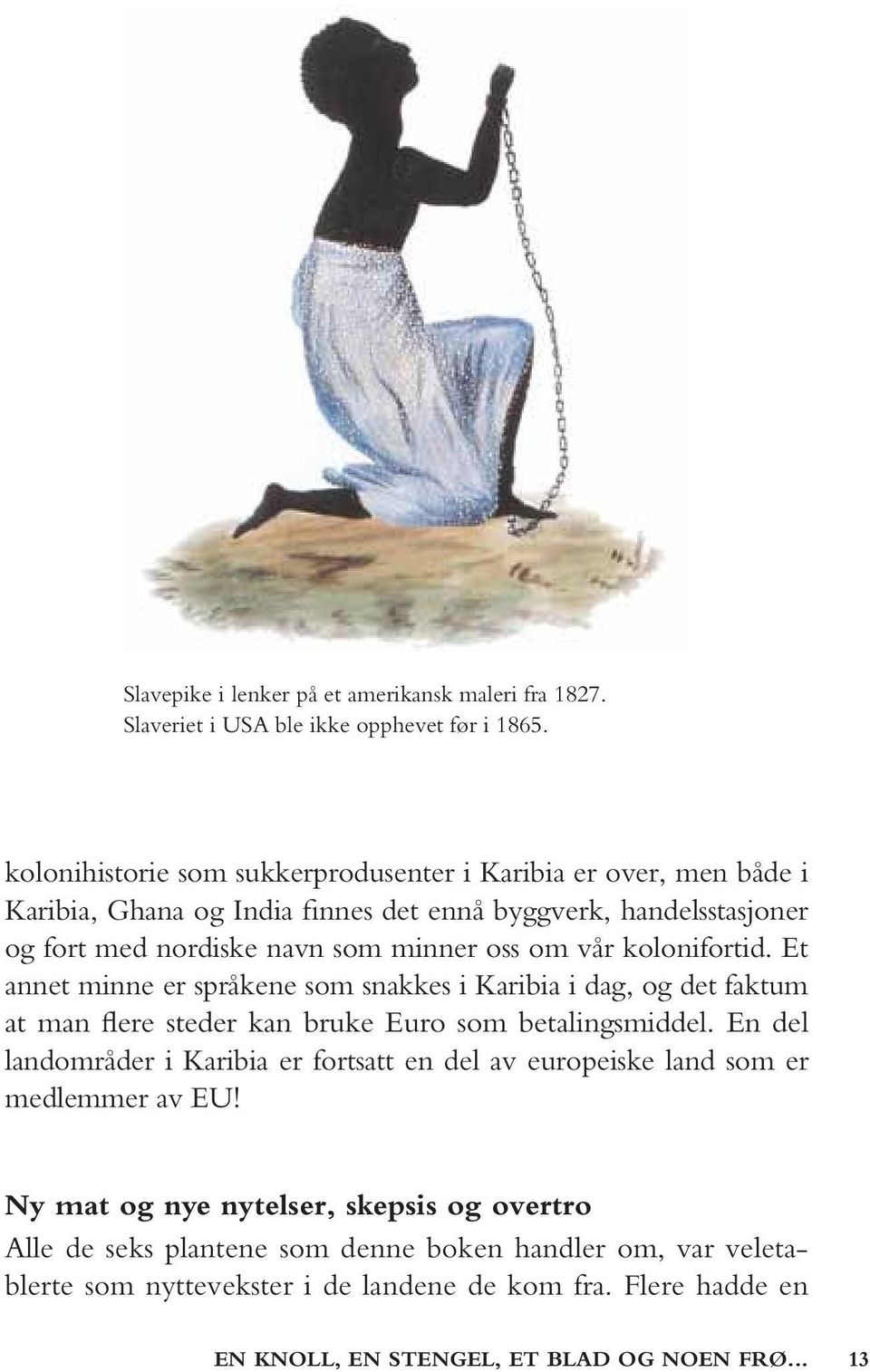 oss om vår kolonifortid. Et annet minne er språkene som snakkes i Karibia i dag, og det faktum at man flere steder kan bruke Euro som betalingsmiddel.