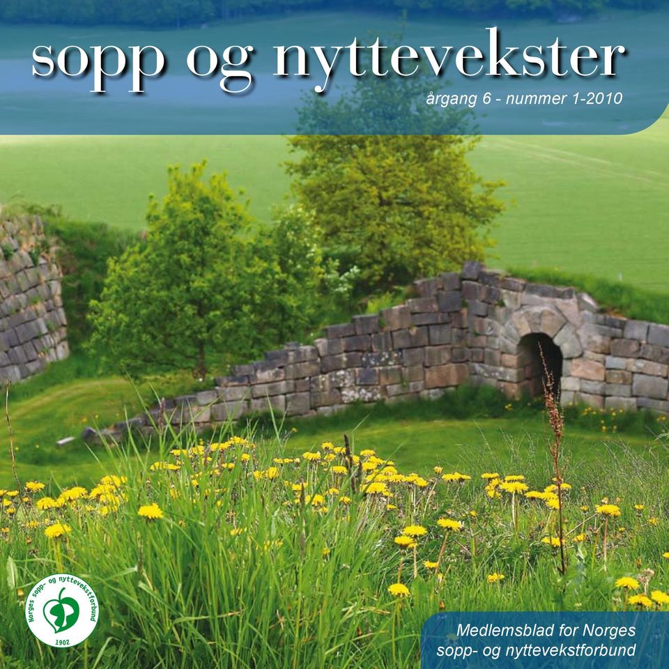 1-2010 Medlemsblad for