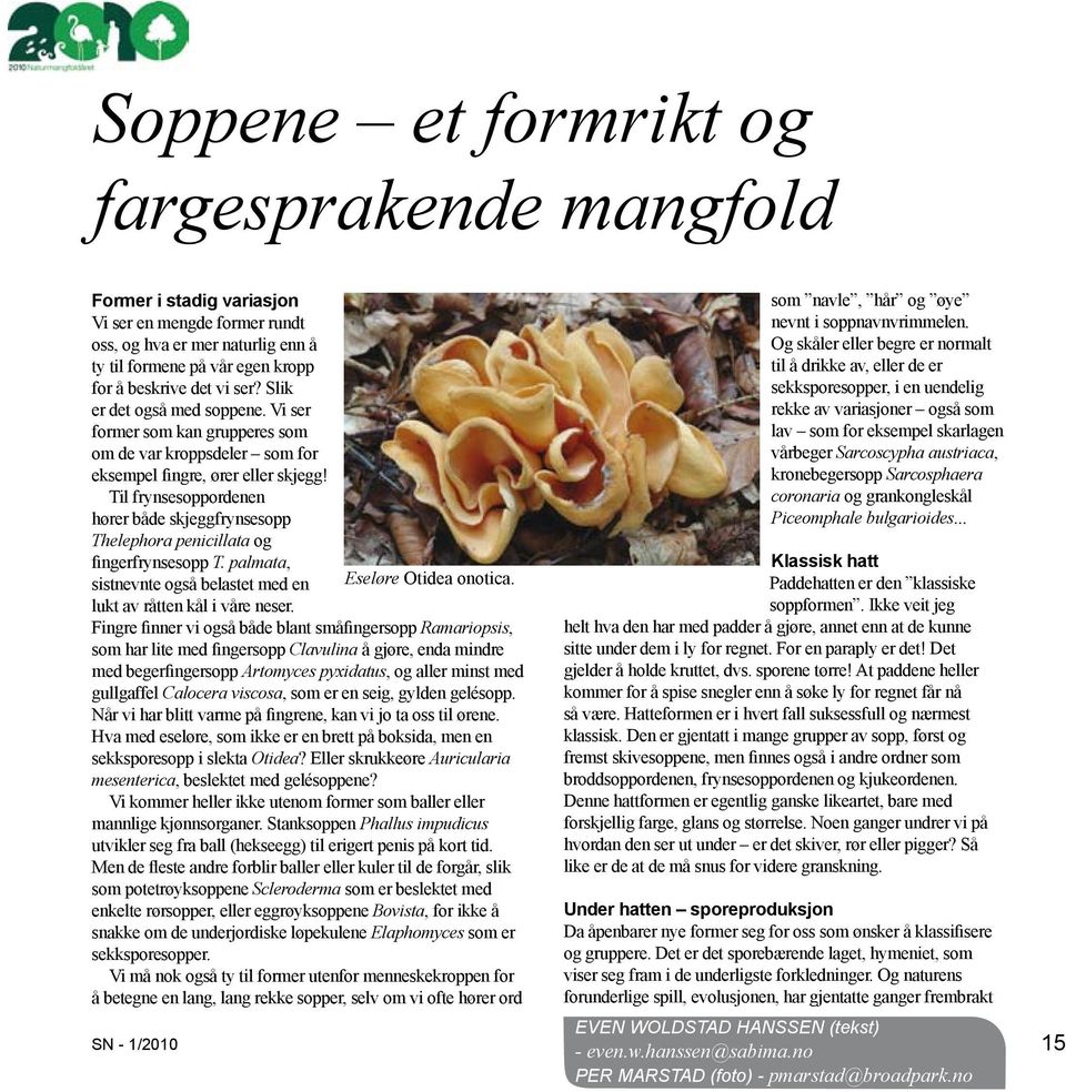 Til frynsesoppordenen hører både skjeggfrynsesopp Thelephora penicillata og fingerfrynsesopp T. palmata, sistnevnte også belastet med en Eseløre Otidea onotica. lukt av råtten kål i våre neser.