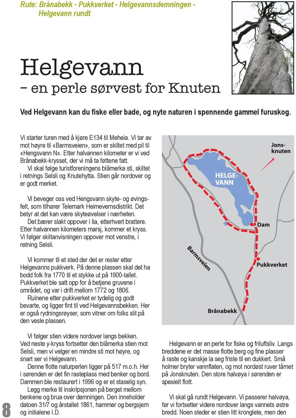 Etter halvannen kilometer er vi ved Brånabekk-krysset, der vi må ta føttene fatt. Vi skal følge turistforeningens blåmerka sti, skiltet i retnings Selsli og Knutehytta.