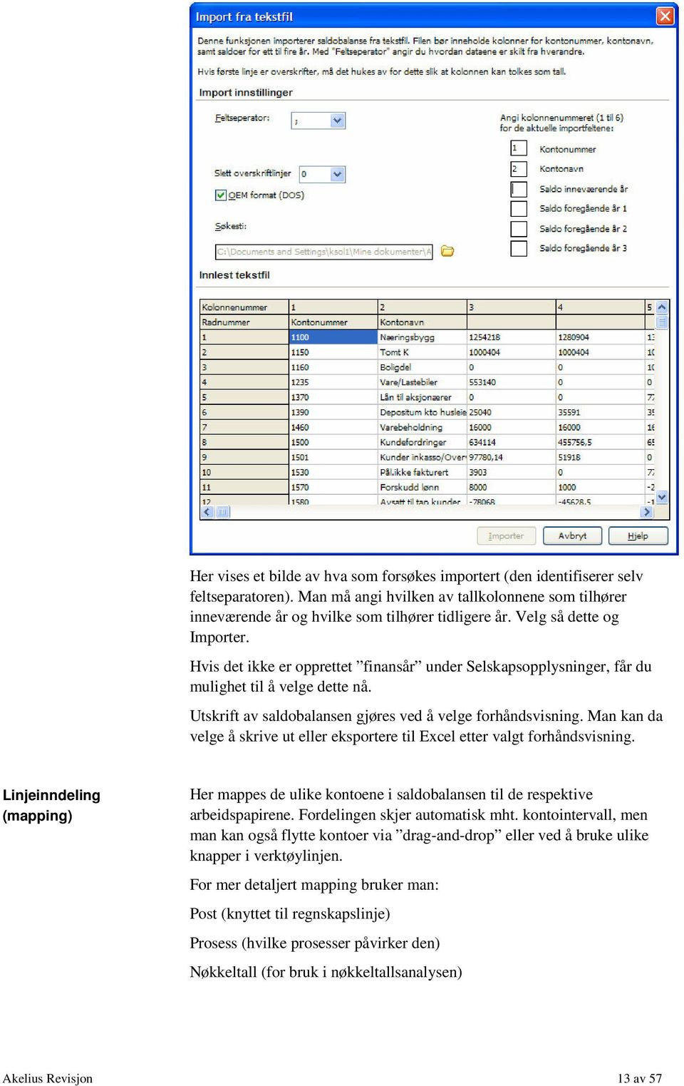 Man kan da velge å skrive ut eller eksportere til Excel etter valgt forhåndsvisning. Linjeinndeling (mapping) Her mappes de ulike kontoene i saldobalansen til de respektive arbeidspapirene.