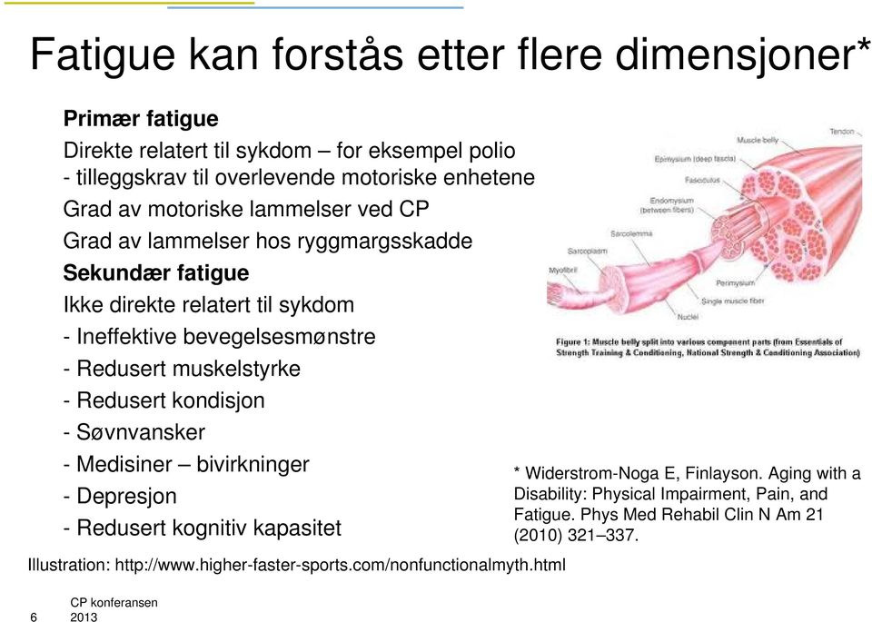 muskelstyrke - Redusert kondisjon - Søvnvansker - Medisiner bivirkninger - Depresjon - Redusert kognitiv kapasitet Illustration: http://www.higher-faster-sports.