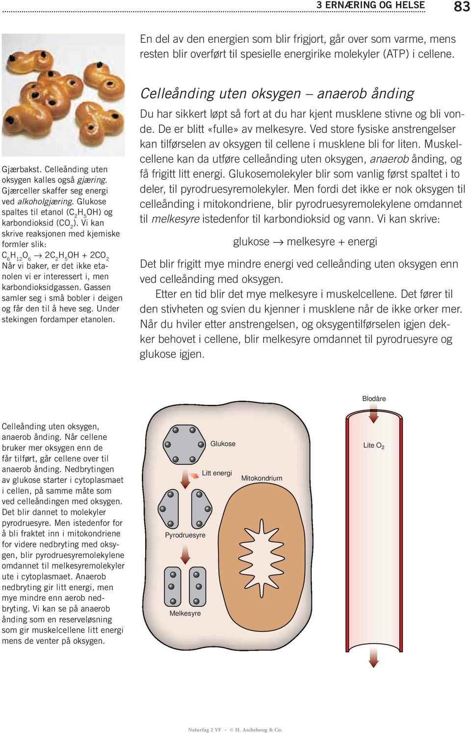 Glukose spaltes til etanol (C 2 H 5 karbondioksid (CO 2 skrive reaksjonen med kjemiske formler slik: C 6 H 12 O 6 2C 2 H 5 OH + 2CO 2 Når vi baker, er det ikke etanolen vi er interessert i, men