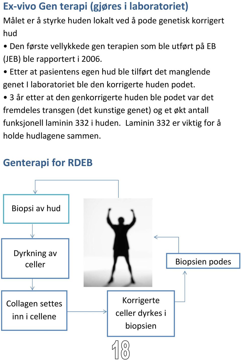 3 år etter at den genkorrigerte huden ble podet var det fremdeles transgen (det kunstige genet) og et økt antall funksjonell laminin 332 i huden.