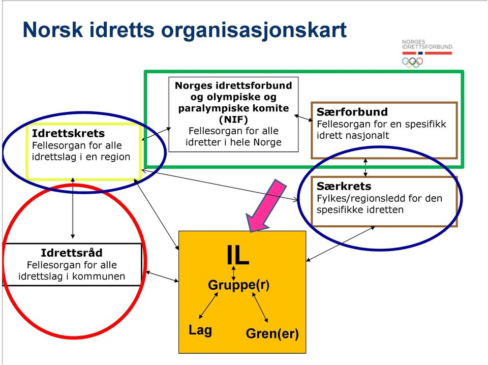 i hele Norge Særforbund Fellesorgan for en spesifikk idrett nasjonalt Særkrets