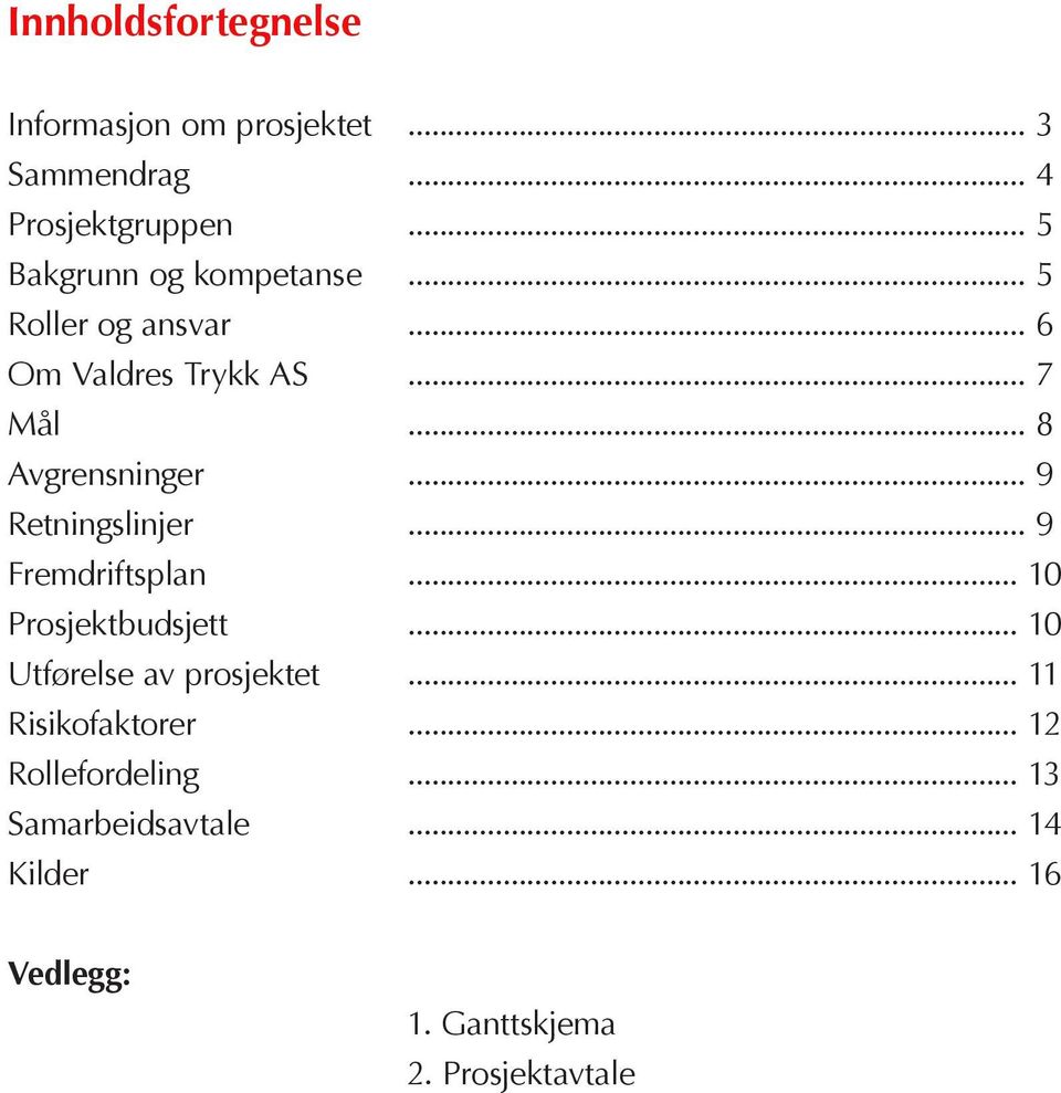 .. 9 Retningslinjer... 9 Fremdriftsplan... 10 Prosjektbudsjett... 10 Utførelse av prosjektet.