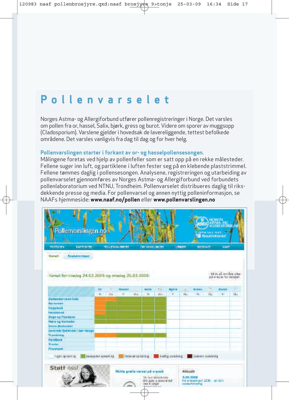 Det varsles vanligvis fra dag til dag og for hver helg. Pollenvarslingen starter i forkant av or- og hasselpollensesongen.