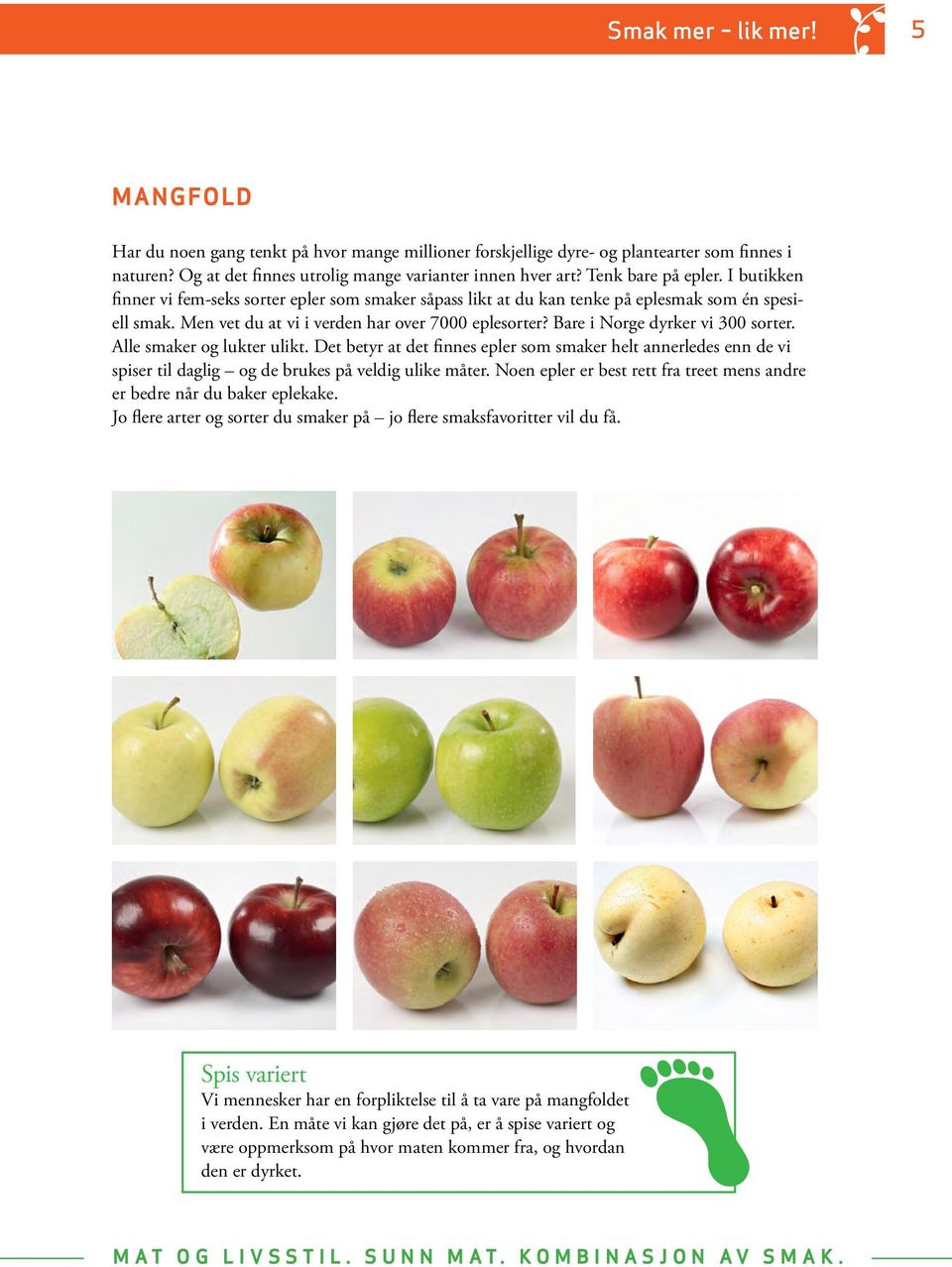 Bare i Norge dyrker vi 300 sorter. Alle smaker og lukter ulikt. Det betyr at det finnes epler som smaker helt annerledes enn de vi spiser til daglig og de brukes på veldig ulike måter.