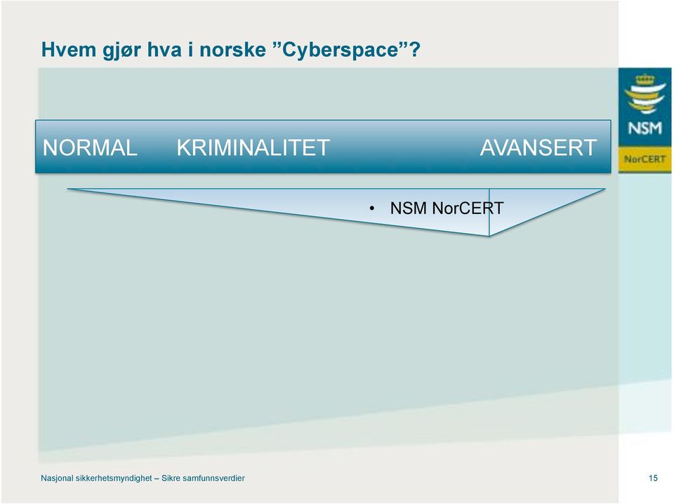 NORMAL KRIMINALITET AVANSERT NSM