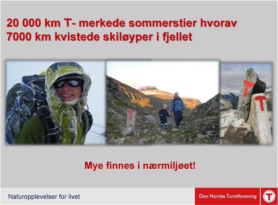 km kvistede skiløyper i