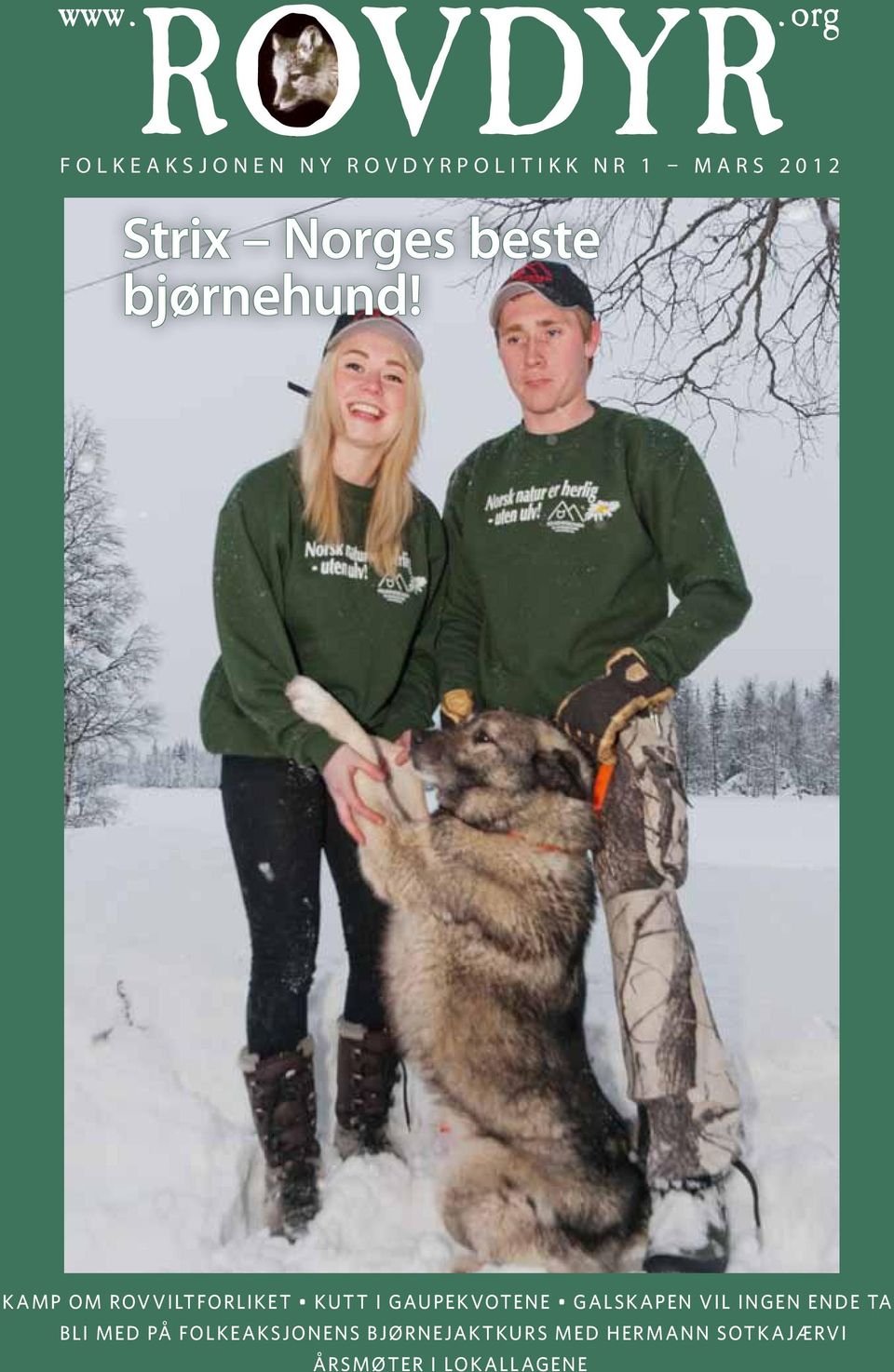 Norges beste bjørnehund!