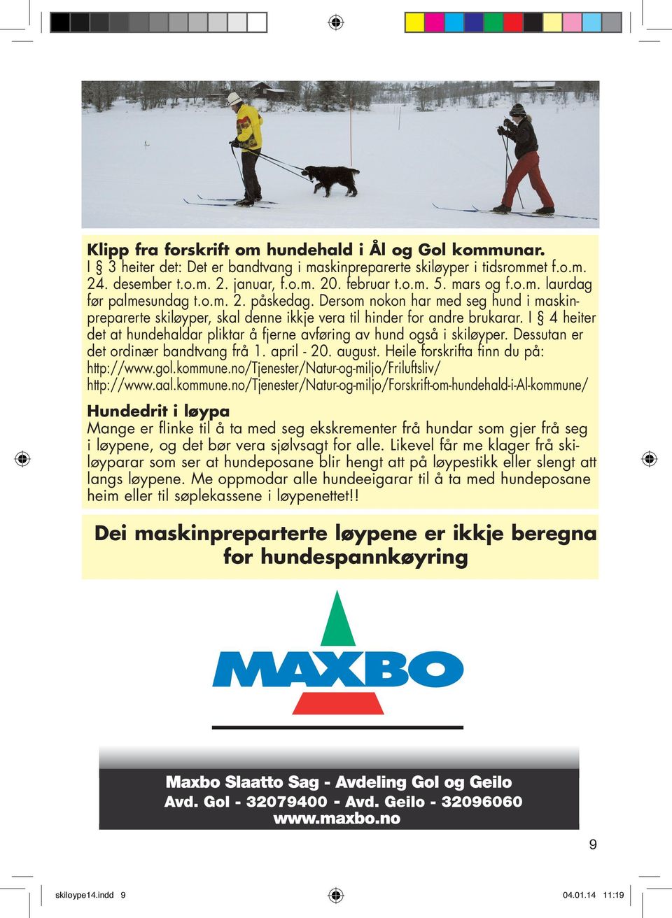 I 4 heiter det at hundehaldar pliktar å fjerne avføring av hund også i skiløyper. Dessutan er det ordinær bandtvang frå 1. april - 20. august. Heile forskrifta finn du på: http://www.gol.kommune.